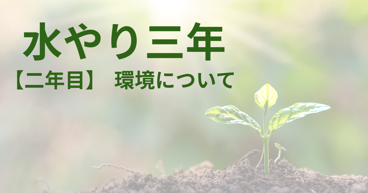 水やり三年【二年目】