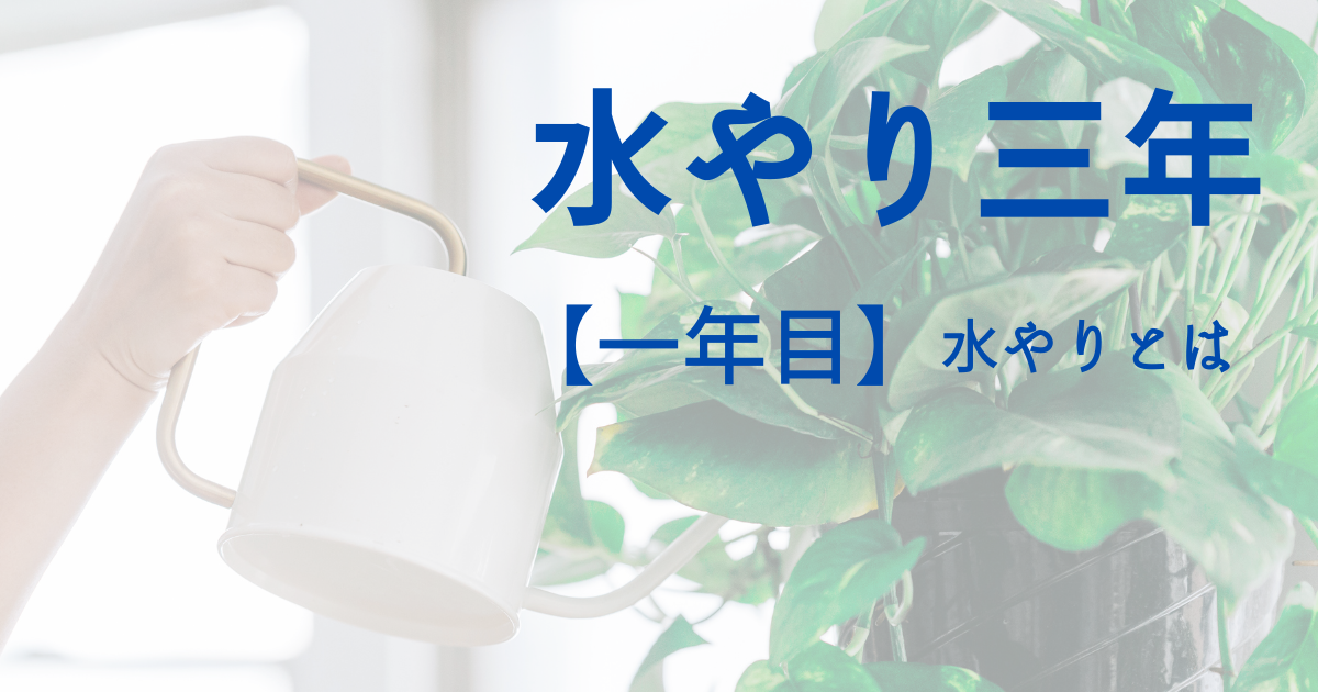 水やり三年　一年目