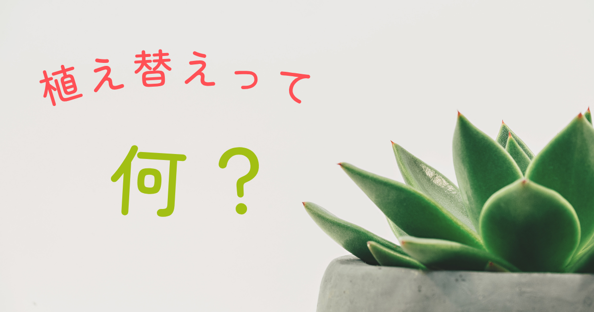 植え替えって、何？