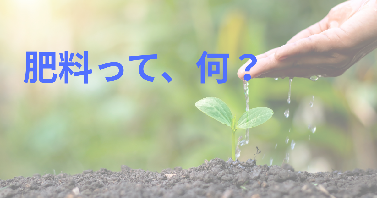 肥料って、何？
