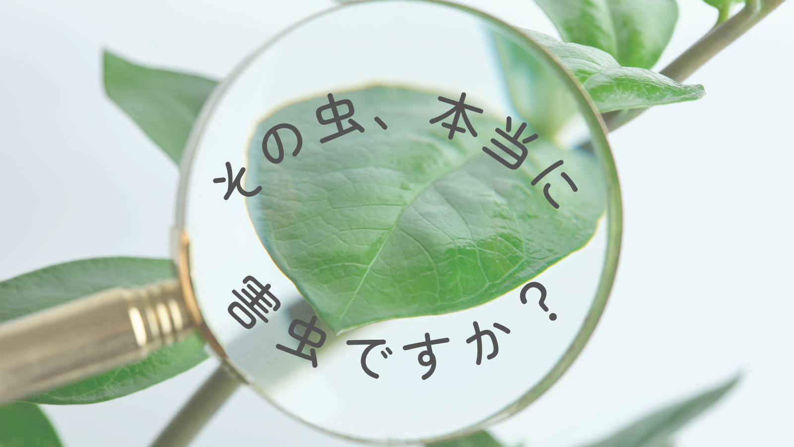 その虫本当に害虫？